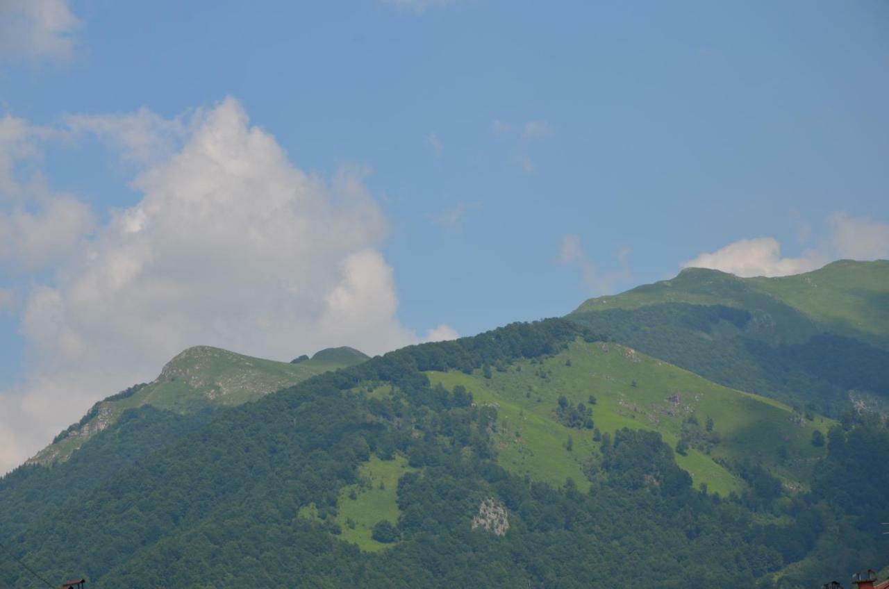 Max Kolašin Exterior foto